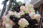 Tặng hoa hồng phủ chocolate cho ngày 8/3 Tặng hoa hồng phủ chocolate cho ngày 8/3