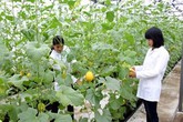 Thâm cung bí sử (78 - 3): Cứu sống một doanh nghiệp Thâm cung bí sử (78 - 3): Cứu sống một doanh nghiệp