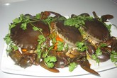 Cua biển chết, tuyệt đối không ăn Cua biển chết, tuyệt đối không ăn