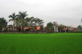 Về quê dự ngày xuân tế Về quê dự ngày xuân tế
