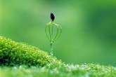 Ranh giới giữa sự sống và cái chết Ranh giới giữa sự sống và cái chết