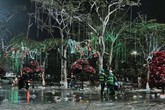 Những người đi làm sớm nhất năm Những người đi làm sớm nhất năm