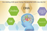 Nguồn dinh dưỡng đúng cho sự phát triển trí não toàn diện của bé Nguồn dinh dưỡng đúng cho sự phát triển trí não toàn diện của bé