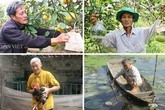 Những lão nông triệu phú "già mà… ham" Những lão nông triệu phú "già mà… ham"