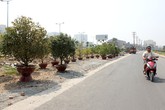 Nửa đêm bê mai đi 'xí' chỗ bán Tết ở Sài Gòn Nửa đêm bê mai đi 'xí' chỗ bán Tết ở Sài Gòn