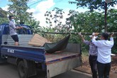 Chồng mất tích bí ẩn sau khi đưa vợ đi sinh Chồng mất tích bí ẩn sau khi đưa vợ đi sinh