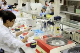 Mỗi năm có khoảng 2.000 trẻ sinh ra mang gen bệnh tan máu bẩm sinh Mỗi năm có khoảng 2.000 trẻ sinh ra mang gen bệnh tan máu bẩm sinh