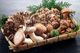 Những loại nấm bạn nên ăn vì cực tốt cho sức khỏe Những loại nấm bạn nên ăn vì cực tốt cho sức khỏe