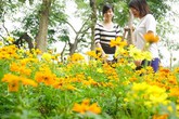 Miền Bắc lại nắng nóng Miền Bắc lại nắng nóng