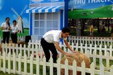 Vui ngày hội nông trại gia đình cùng Cô gái Hà Lan Vui ngày hội nông trại gia đình cùng Cô gái Hà Lan