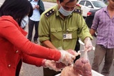 Liên tiếp phát hiện nhiều ô tô chở nội tạng thối Liên tiếp phát hiện nhiều ô tô chở nội tạng thối