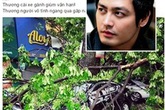 Xe của MC Phan Anh bị cây đè lên sau trận gió lốc chiều qua Xe của MC Phan Anh bị cây đè lên sau trận gió lốc chiều qua