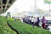 Dân ngủ trên cầu, ăn tối lúc nửa đêm vì… nóng! Dân ngủ trên cầu, ăn tối lúc nửa đêm vì… nóng!