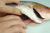 Quan niệm sai lầm khi ăn trứng và gan cá Quan niệm sai lầm khi ăn trứng và gan cá