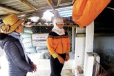 Xã duy nhất ở Thái Bình không có người sinh con thứ 3 về đích nông thôn mới Xã duy nhất ở Thái Bình không có người sinh con thứ 3 về đích nông thôn mới