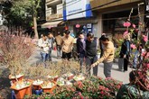 Thời tiết chi tiết những ngày Tết Ất Mùi Thời tiết chi tiết những ngày Tết Ất Mùi