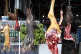 Sẽ cấm bán thịt rừng, đổi tiền lẻ trong mùa lễ hội 2015 Sẽ cấm bán thịt rừng, đổi tiền lẻ trong mùa lễ hội 2015