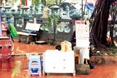 Bói dạo “đại náo” đền, chùa Bói dạo “đại náo” đền, chùa