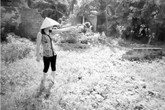 Dự án Làng Việt Kiều (Hải Phòng): Dân phát hiện “ngót” hàng trăm mét vuông đất khi nhận tiền đền bù Dự án Làng Việt Kiều (Hải Phòng): Dân phát hiện “ngót” hàng trăm mét vuông đất khi nhận tiền đền bù