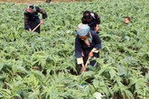 Khẳng định vị thế của sản phẩm thương hiệu Việt Khẳng định vị thế của sản phẩm thương hiệu Việt