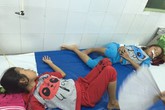 Ăn thịt cóc, 3 anh em nhập viện cấp cứu Ăn thịt cóc, 3 anh em nhập viện cấp cứu