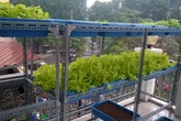 Chàng trai 9X làm giàu từ mô hình trồng rau trên sân thượng Chàng trai 9X làm giàu từ mô hình trồng rau trên sân thượng