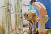 Dừa, sầu riêng, măng cụt Bến Tre có nguy cơ "cháy hàng" vì hạn mặn Dừa, sầu riêng, măng cụt Bến Tre có nguy cơ "cháy hàng" vì hạn mặn