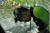 4 giờ ngụp lặn kênh thối tìm két sắt ở Sài Gòn 4 giờ ngụp lặn kênh thối tìm két sắt ở Sài Gòn