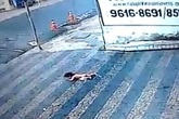 Bé 14 tháng thoát chết thần kỳ sau cú ngã từ tầng 2 Bé 14 tháng thoát chết thần kỳ sau cú ngã từ tầng 2