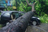 Vì sao bão Mirinae cường độ không mạnh lại gây thiệt hại lớn? Vì sao bão Mirinae cường độ không mạnh lại gây thiệt hại lớn?