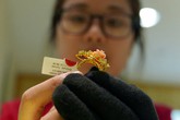 Giá vàng đi ngang dưới ngưỡng 33 triệu đồng Giá vàng đi ngang dưới ngưỡng 33 triệu đồng