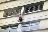 Chồng khỏa thân treo mình giữa ban công vì bị vợ bỏ Chồng khỏa thân treo mình giữa ban công vì bị vợ bỏ