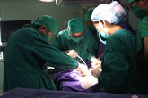 Cứu sống bé 1 ngày tuổi bị bệnh thoát vị hoành hiếm gặp Cứu sống bé 1 ngày tuổi bị bệnh thoát vị hoành hiếm gặp