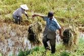 Đạo đức giả Đạo đức giả