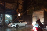 Tin mới nhất cơn bão số 3: Nhiều cây xanh ở Hà Nội bị bật gốc, đè bẹp ô tô Tin mới nhất cơn bão số 3: Nhiều cây xanh ở Hà Nội bị bật gốc, đè bẹp ô tô