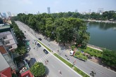 Hà Nội bắt đầu "hạ" hàng cây cổ thụ trên đường Kim Mã Hà Nội bắt đầu "hạ" hàng cây cổ thụ trên đường Kim Mã