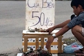 Cua biển 50.000 đồng/con tràn vỉa hè Hà Nội Cua biển 50.000 đồng/con tràn vỉa hè Hà Nội