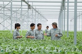 Chỉ doanh nghiệp mới đủ sức kết nối nông dân với thị trường Chỉ doanh nghiệp mới đủ sức kết nối nông dân với thị trường