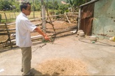 Phẫn nộ trước cái chết thảm của nữ sinh lớp 12 Phẫn nộ trước cái chết thảm của nữ sinh lớp 12