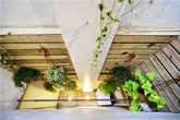 Một tỉ đồng cho sự lột xác kì diệu của ngôi nhà 12m² hạn chế đủ đường Một tỉ đồng cho sự lột xác kì diệu của ngôi nhà 12m² hạn chế đủ đường