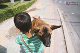Cậu bé bán vé số và chú chó què: "Milu là em út của em, em thương nó lắm! Cậu bé bán vé số và chú chó què: "Milu là em út của em, em thương nó lắm!