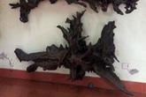 Những thú chơi 'đốt tiền' ngày Tết của đại gia Việt Những thú chơi 'đốt tiền' ngày Tết của đại gia Việt