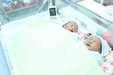 Đón 5 bé chào đời bằng phương pháp thụ tinh trong ống nghiệm Đón 5 bé chào đời bằng phương pháp thụ tinh trong ống nghiệm