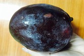 Xoài lạ tím bầm: Dân Hà thành đua nhau ăn thử Xoài lạ tím bầm: Dân Hà thành đua nhau ăn thử