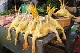 Đường tới nghĩa địa nhanh vì ham của lạ, đẹp, ngon mắt Đường tới nghĩa địa nhanh vì ham của lạ, đẹp, ngon mắt