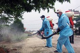 Nhiều địa phương hưởng ứng chiến dịch phòng chống bệnh do virus Zika Nhiều địa phương hưởng ứng chiến dịch phòng chống bệnh do virus Zika