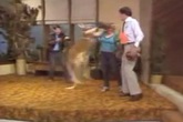 Kangaroo đeo găng, đấm túi bụi MC trên truyền hình Kangaroo đeo găng, đấm túi bụi MC trên truyền hình