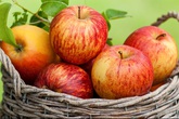 7 ngày giảm cân nhanh nhờ bữa sáng dinh dưỡng 7 ngày giảm cân nhanh nhờ bữa sáng dinh dưỡng