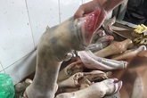 Vó bò hôi thối luộc bán cho quán nhậu Vó bò hôi thối luộc bán cho quán nhậu