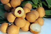 Công dụng “thần thánh” của hạt nhãn, hạt me… khiến 99% người ăn tiếc nuối Công dụng “thần thánh” của hạt nhãn, hạt me… khiến 99% người ăn tiếc nuối